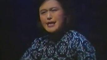 风流寡妇的创作背景,乱世佳人，情感纠葛与时代变迁